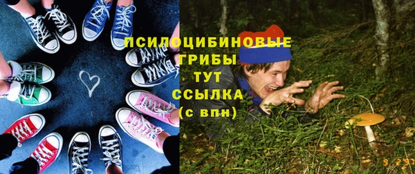 PSILOCYBIN Алексин