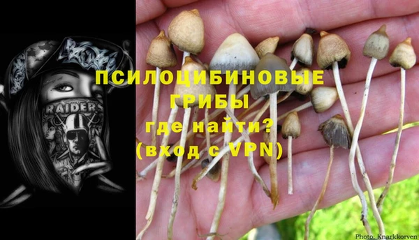 PSILOCYBIN Алексин