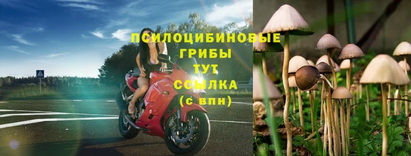 PSILOCYBIN Алексин